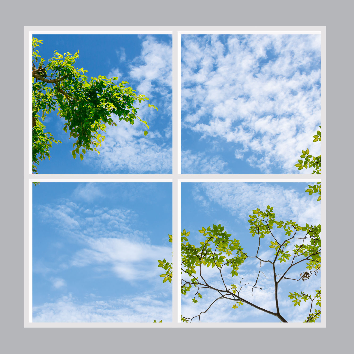 Sky ceiling, 3x3 panels - Prosky Panels®